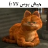 Garfild 12