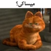 Garfild 13
