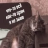 JZDFBRJGFJ_by_stikers_du_ark_bot 9