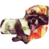 Habēmus Raccoon 9
