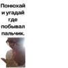gau-chats 9