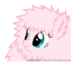 ASKPLUFFLER ASKFLUFFLEPUFF.TUMBLR.COM