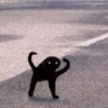 Gatinhos da Mand 15