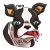 JoJo 17