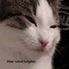 JZDFBRJGFJ_by_stikers_du_ark_bot 12
