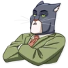Blacksad 16