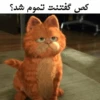 Garfild 21