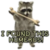 I FOUND THIS HUMERUS!