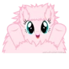 ((་ ༽ཀྱི ༧)) ASKFLUFFLEPUFF.TUMBLR.C