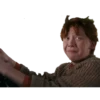 Harry Potter 14