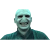 Harry Potter 15