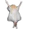 Lady Gaga Reactions & Memes 19