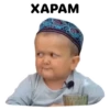 Hasbulla 17