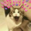 JZDFBRJGFJ_by_stikers_du_ark_bot 16