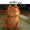 Garfild 23