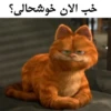 Garfild 24