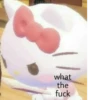 Hello kitty | 24