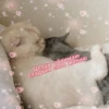 JZDFBRJGFJ_by_stikers_du_ark_bot 18