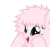 Flufflepuff 23