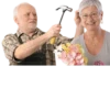 Harold hide pain 2 13