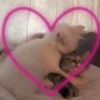 Kitty go 16