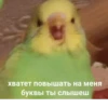 JZDFBRJGFJ_by_stikers_du_ark_bot 21