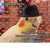 JZDFBRJGFJ_by_stikers_du_ark_bot 22