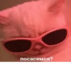 JZDFBRJGFJ_by_stikers_du_ark_bot 24