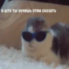 JZDFBRJGFJ_by_stikers_du_ark_bot 26