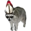 Habēmus Raccoon 23