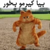 Garfild 25