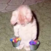 Kitty go 19
