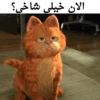 Garfild 26
