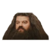 Harry Potter 18