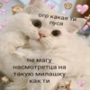 JZDFBRJGFJ_by_stikers_du_ark_bot 29