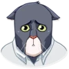 Blacksad 28