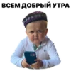 Hasbulla 23