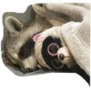 Habēmus Raccoon 28