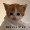 Стикеры 5