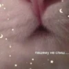 KAWUECXWJQ_by_stikerykkk_bot 5