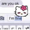 ♡︎;; hello kitty 7