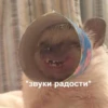 Does_not_simple 8