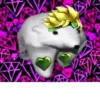 Jojo 12