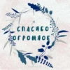 Стикеры 12