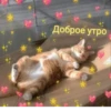Стикеры 14