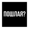 Стики из 19