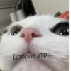 Стикеры 18