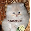Стикеры 19