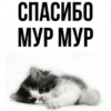 Стикеры 20