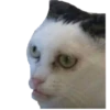 wat 22